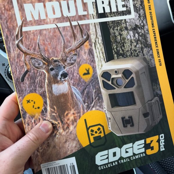Stopped at Walmart last week and picked up a copy of the new mag