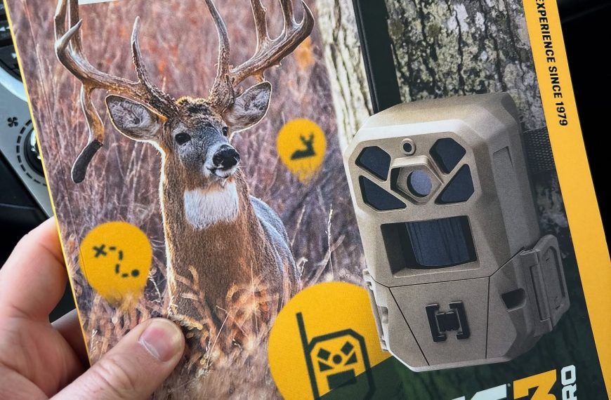 Stopped at Walmart last week and picked up a copy of the new  mag