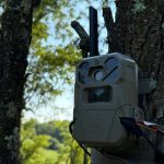 Perfect evening to deploy my  Edge 2 Pro on some public! Just a f