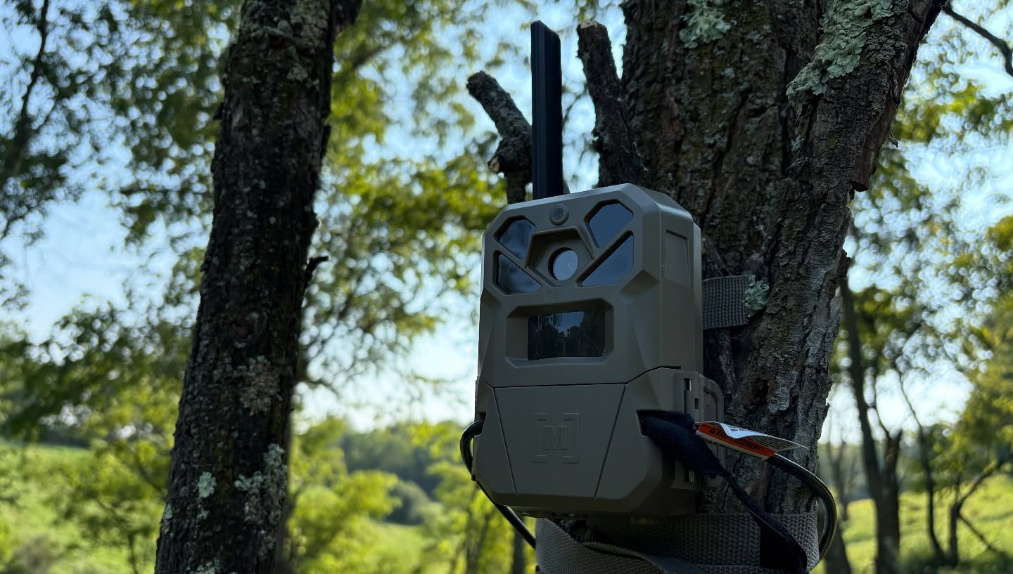 Perfect evening to deploy my  Edge 2 Pro on some public! Just a f