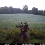 to this mega giant