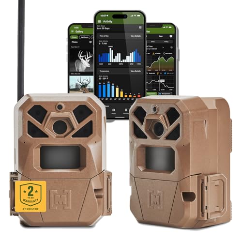 How to Set Our Deer Trail Camera for Peak Buck Action