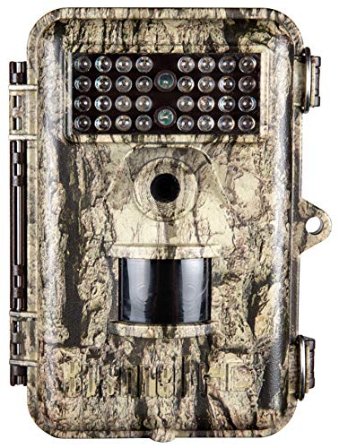 We Test Deer Cameras: Bushnell Trophy vs Browning Strike