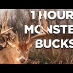1 Hour of The Best Deer Hunts from Monster Bucks 21 | Giant Whitetail Deer Hunts
