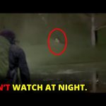 100 SCARIEST Creature Encounters Caught On Trail Camera | Mega Comp V26