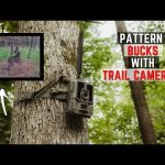3 Ways To Pattern Bucks Using Trail Cameras