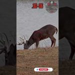 .30 06💥👊🏽PUNCHES | Deer Hunting #texas #viral #caceria #deerhunting #shooting #gunops #scopecam