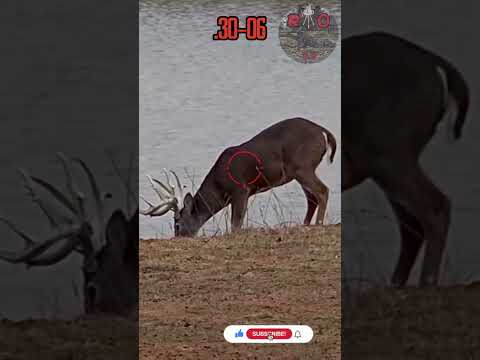 .30 06💥👊🏽PUNCHES | Deer Hunting #texas #viral #caceria #deerhunting #shooting #gunops #scopecam