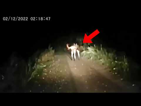 30 Most Disturbing Trail Cam Videos No One Saw Coming