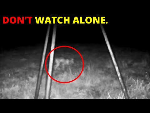 30 SCARIEST Creature Encounters Caught On Trail In The Woods | Scary Comp V177