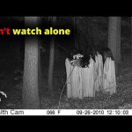 30 SCARIEST Trail Encounters Caught In The Woods | Scary Comp V245