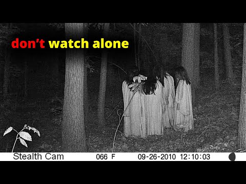 30 SCARIEST Trail Encounters Caught In The Woods | Scary Comp V245