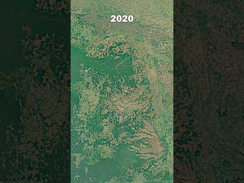 36 Year In 10 Seconds The Amazon Rainforest Timelapse