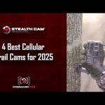 4 Best Cellular Trail Cams for 2025