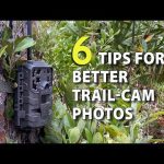 6 Tips for Trail Camera Setup to Get More & Better Deer Photos