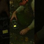 7 stolen trail cameras ??? #hunt #publicland #saddlehunting #latitudeoutdoors #hunting #earlyseason