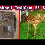 $99 BUSHNELL E3 Trail Cam TIME LAPSE Camera Weather Proof Outdoor Best you can buy REVIEW