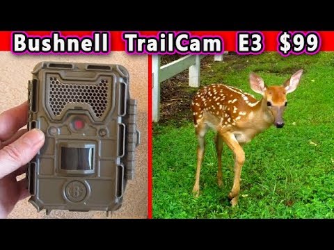 $99 BUSHNELL E3 Trail Cam TIME LAPSE Camera Weather Proof Outdoor Best you can buy REVIEW