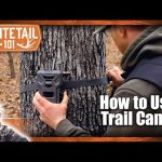 A Beginner’s Guide to Using Your Trail Camera