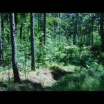Avoiding Trail Cameras