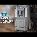 Best No Glow Trail Camera for Wildlife Monitoring Hunting in 2023 Top 5 Review