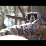 Best Trail Cam Location Setup Strategy