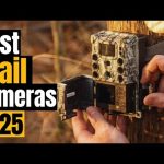 Best Trail Cameras 2025: For Hunters, Nature Lovers, & Backyard Enthusiasts