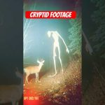 Cryptid Sighting: Unexplained Creature Caught on Trail Cam