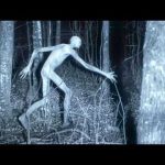 Disturbing Creatures Caught On Trail Cams In 2024