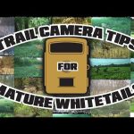 Don Higgins Trail Camera Tips for Mature Whitetails