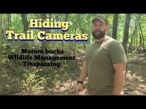 Hiding Trail Cameras | KOAM Outdoors Strategies