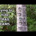 Hiding TRAIL CAMS from People and Deer
