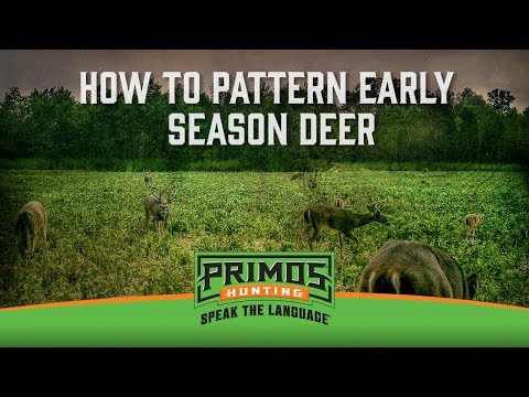 How to Pattern Deer With Trail Cameras in the Early Season