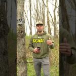 How Weather Affects Your Cellular Signal for Trail Cameras