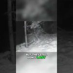 Improve Your Winter Photography: Extending Battery Life in Cold Weather