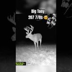 Josh Bowmar’s Giant 208” buck on trail camera 🤯 #deer # 200inches #bigbuck #iowa #whitetails