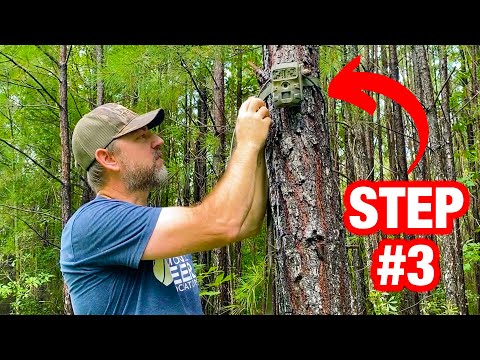 Keeping Your Trail Cams Safe on Public Land