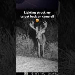 Lighting strikes my deer on camera!!😳🤯 #deer #lightning #wildlife