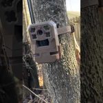 My 2 Cents In 60 Seconds. The Moultrie Edge Cellular Trail Cam. @Moultrie.Products