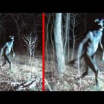 Mysterious Moments Caught On Trail Cam That Remain Unexplained