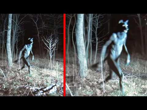 Mysterious Moments Caught On Trail Cam That Remain Unexplained