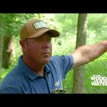 Picking the Right Location for a Trail Camera 2022 Deer Season Prep