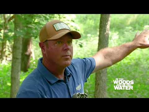 Picking the Right Location for a Trail Camera 2022 Deer Season Prep