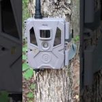 problem with Bushnell trail cameras