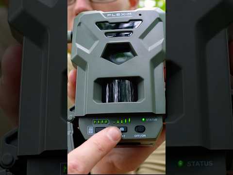 Spypoint Flex M Setup Full Review Linked #shorts #spypoint #trailcamera