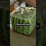 Square Watermelon Timelapse
