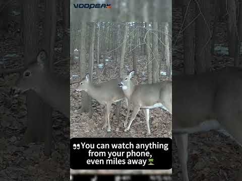 The best Cellular trail camera of 2025 Get closer in the wild anytime anywhere！#Voopeak #trailcamera