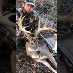 The stupidest hunter in the state | The Hollywood Buck