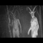 Top 10 Cryptids Caught Clearly on Camera in 2025