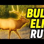 Trail Camera Footage From Idaho's Backcountry | 2025 Week 34